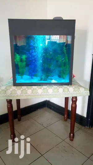 Beaitiful Aquariums From Aqua 2000