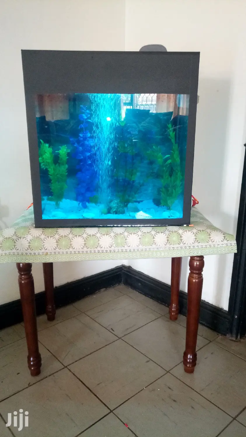Beaitiful Aquariums From Aqua 2000