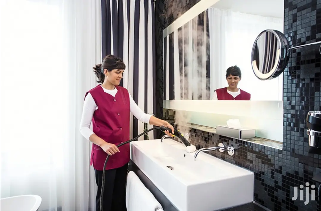 German Karcher Professional Steam Cleaner And Disinfectant