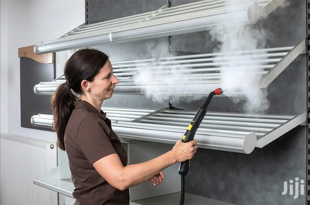 German Karcher Professional Steam Cleaner And Disinfectant