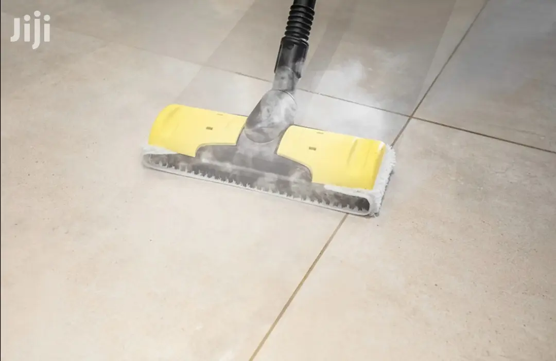 German Karcher Professional Steam Cleaner And Disinfectant