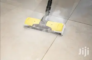 German Karcher Professional Steam Cleaner And Disinfectant