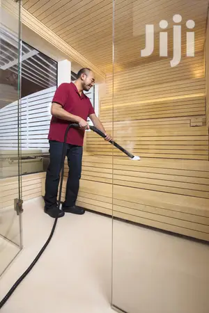 German Karcher Professional Steam Cleaner And Disinfectant