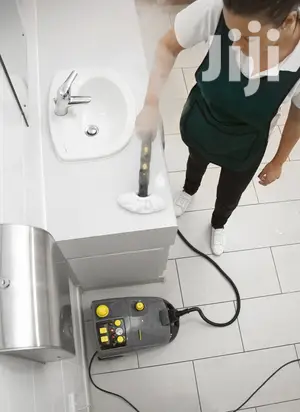 German Karcher Professional Steam Cleaner And Disinfectant
