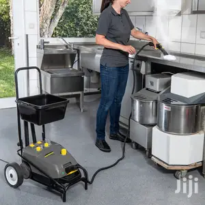German Karcher Professional Steam Cleaner And Disinfectant