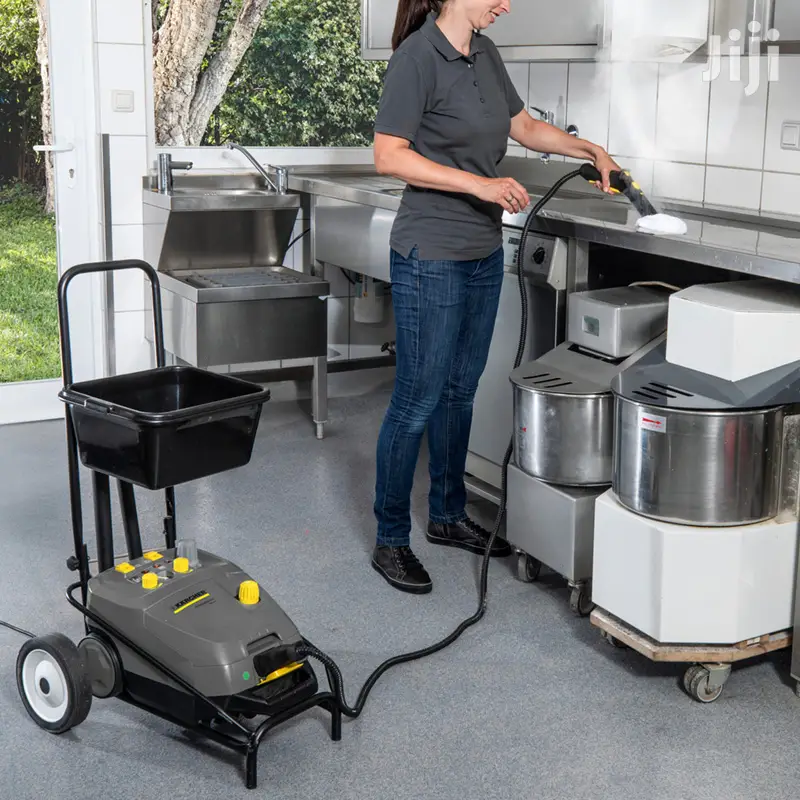 German Karcher Professional Steam Cleaner And Disinfectant