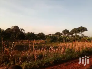 Land for N Namulesa