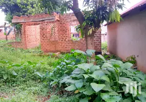 60ft By 34ft Plot In Wakiso, Nansana- Wamala