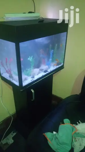 Aquariums in All Shapes and Designs Ftom Our Workshop