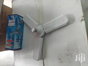 Fun Bulb /Bulb