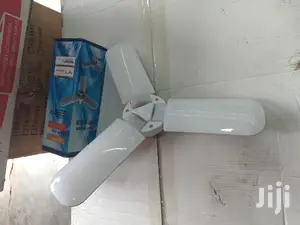 Fun Bulb /Bulb