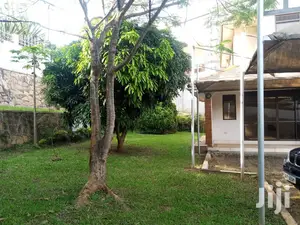 Executive Accommodation