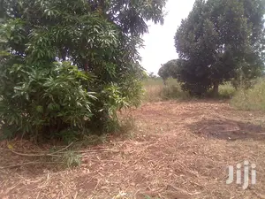Land on Sale in Masindi Kisiita