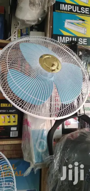 Evernal Wall Fan