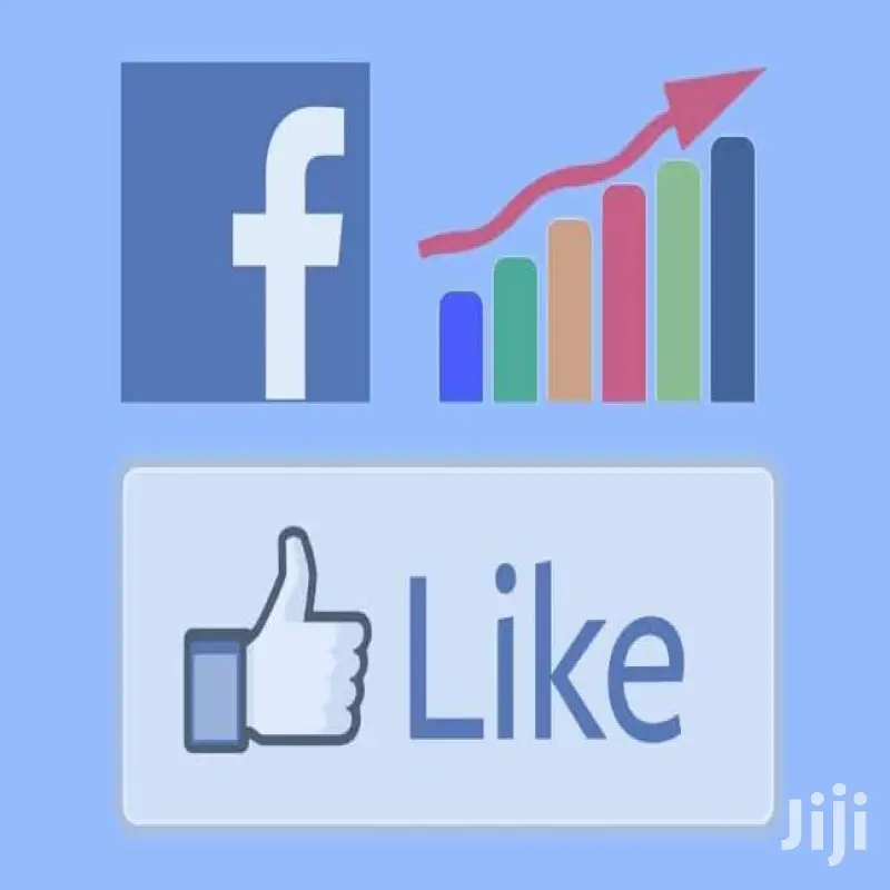 1,000 Youtube,Intsagram,Twitter Facebook Likes in 48 Hours