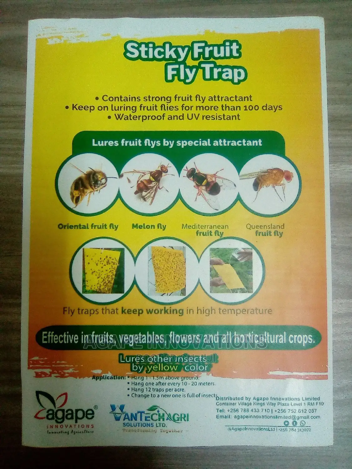 Fruit Fly Traps (Yellow and Blue Sticky Cards)