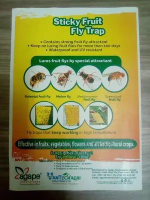 Fruit Fly Traps (Yellow and Blue Sticky Cards)