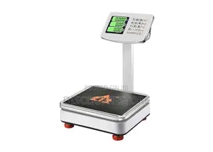 Eagle Scales 60 Kg Platform