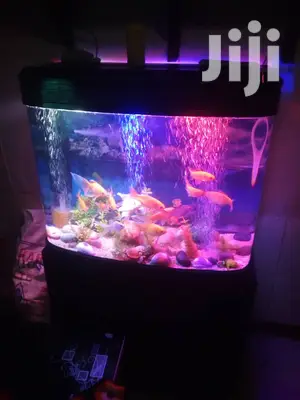 The Oval Aquarium