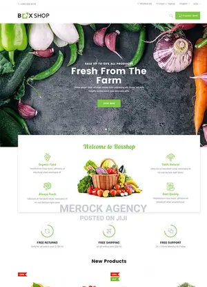 Ecommerce Website Development