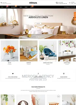 Ecommerce Website Development