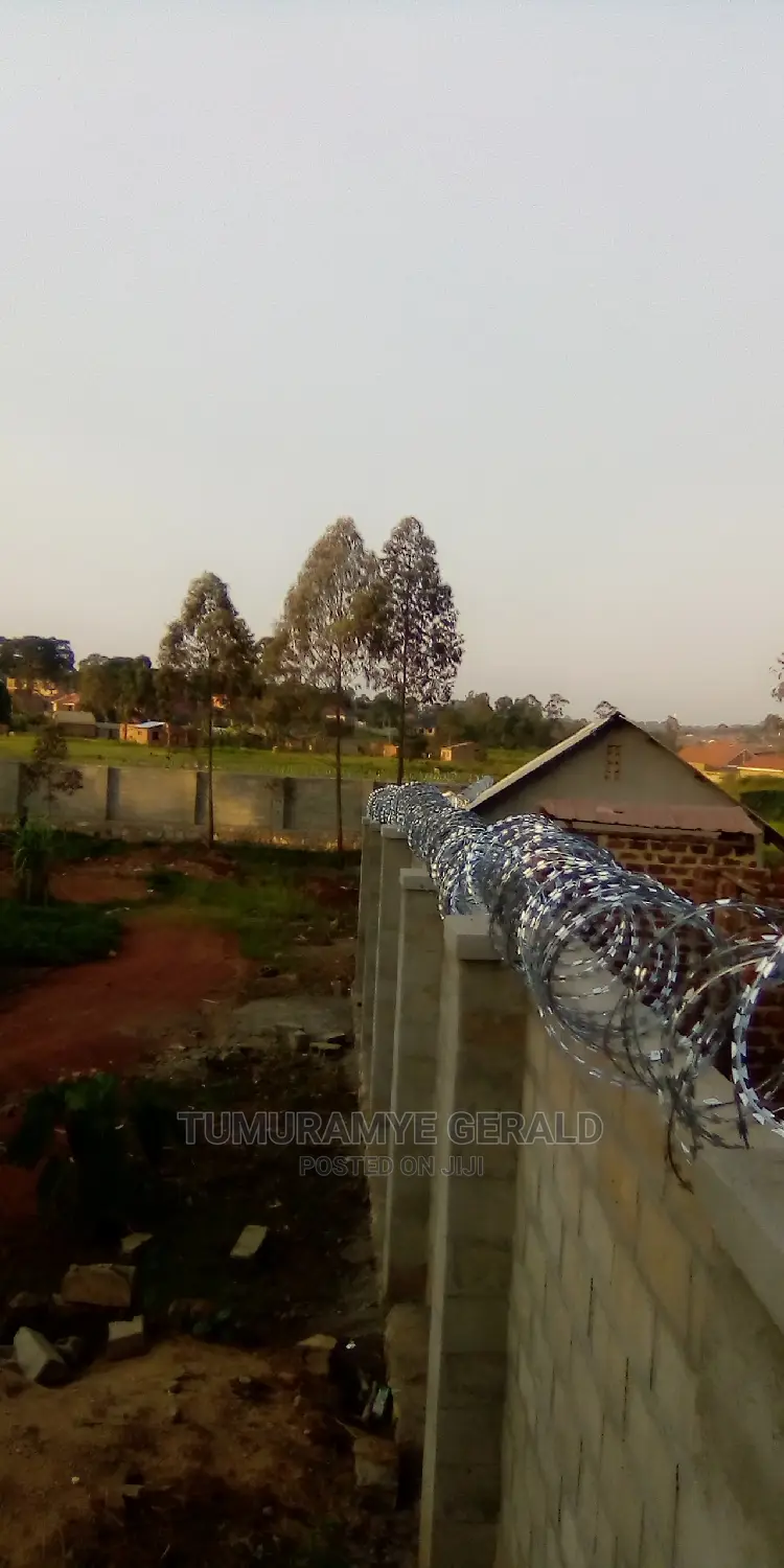 Razor Wire