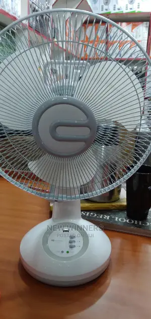 Rechargeable Fan