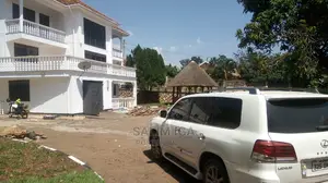 Magnificent House