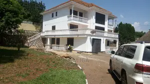 Magnificent House