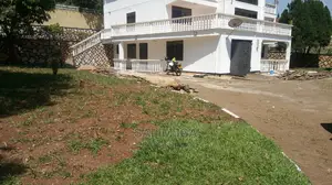 Magnificent House