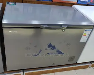Hisense Chest Freezer 400litres Brand