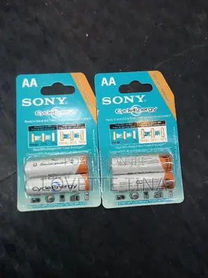 Sony Double Aa Rechargeable Batteries
