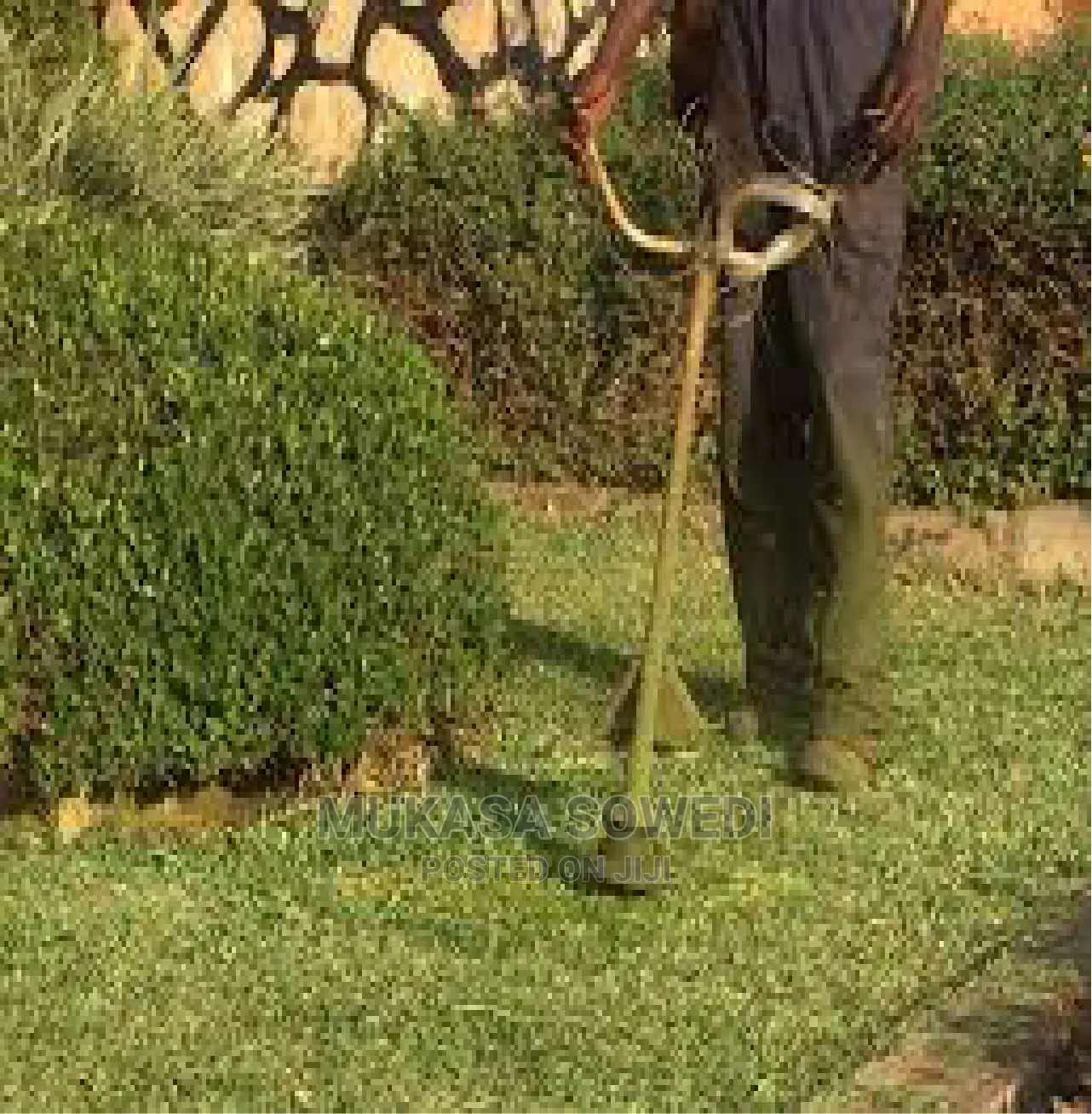 Ausi Cleaning Services