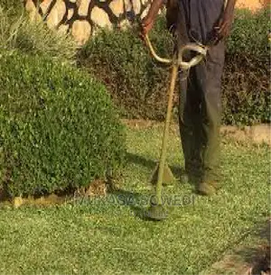 Ausi Cleaning Services