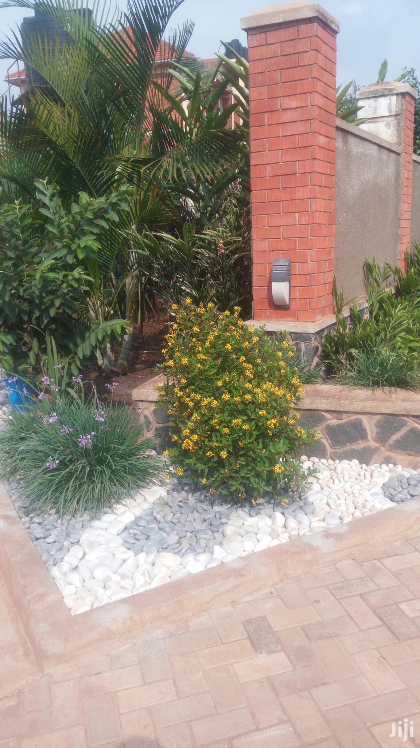 Classic Compound Designs.