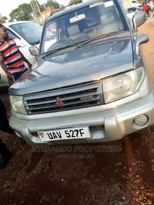 Mitsubishi Pajero 2002 Gray