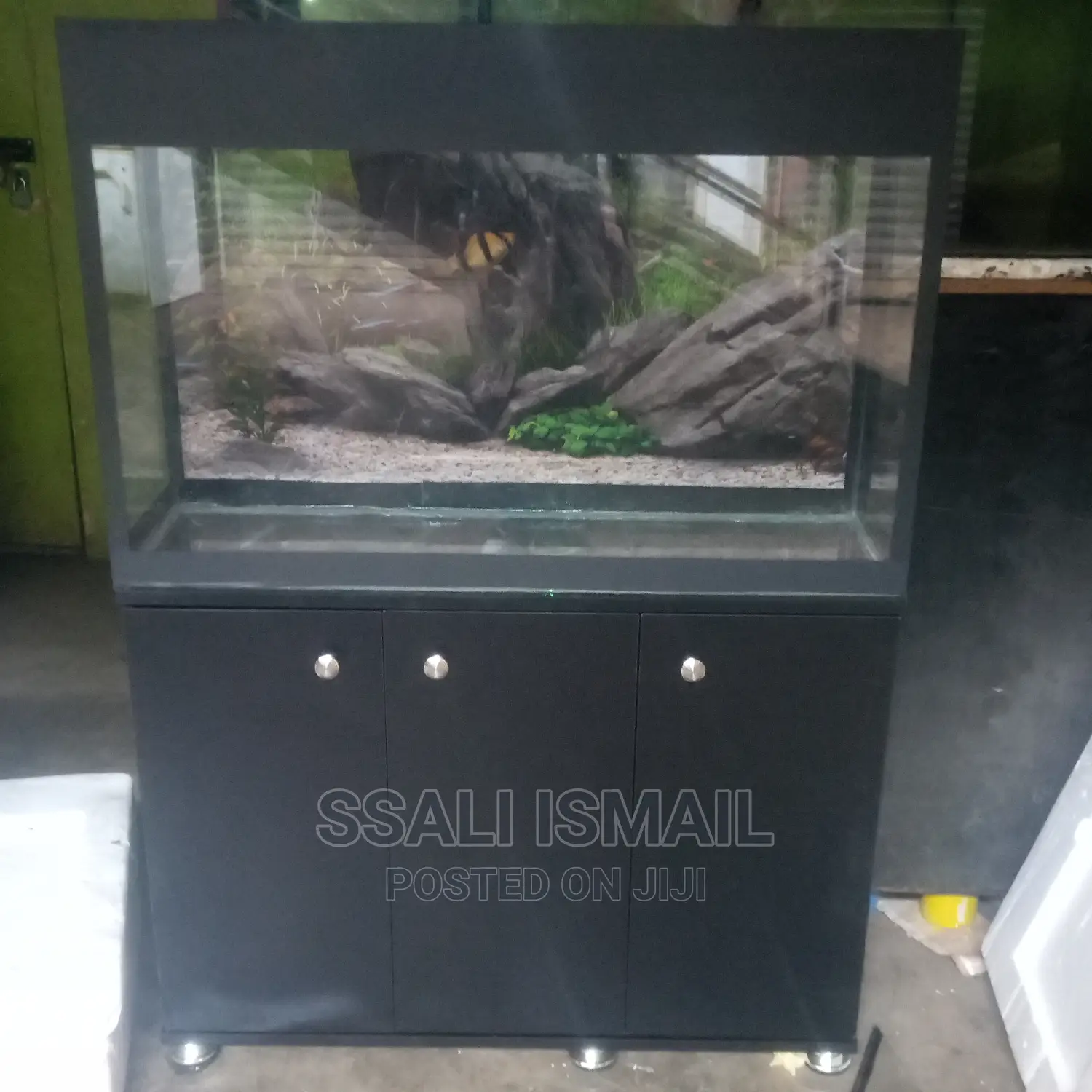 Aquarium