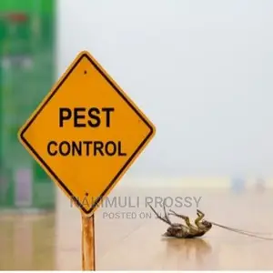 Fumigation and Pest Control or Spraying