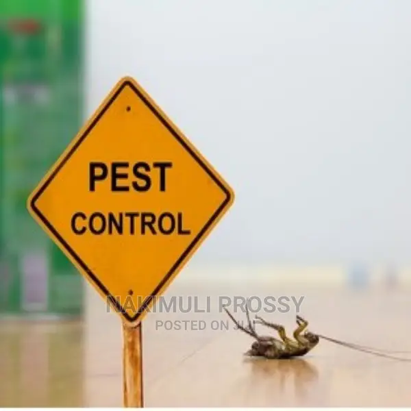 Fumigation and Pest Control or Spraying