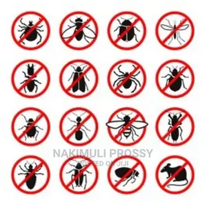Fumigation and Pest Control or Spraying
