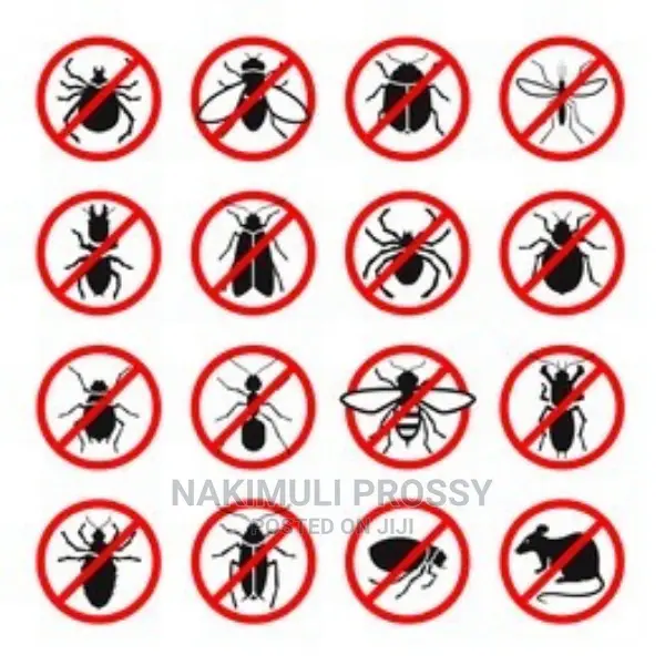 Fumigation and Pest Control or Spraying