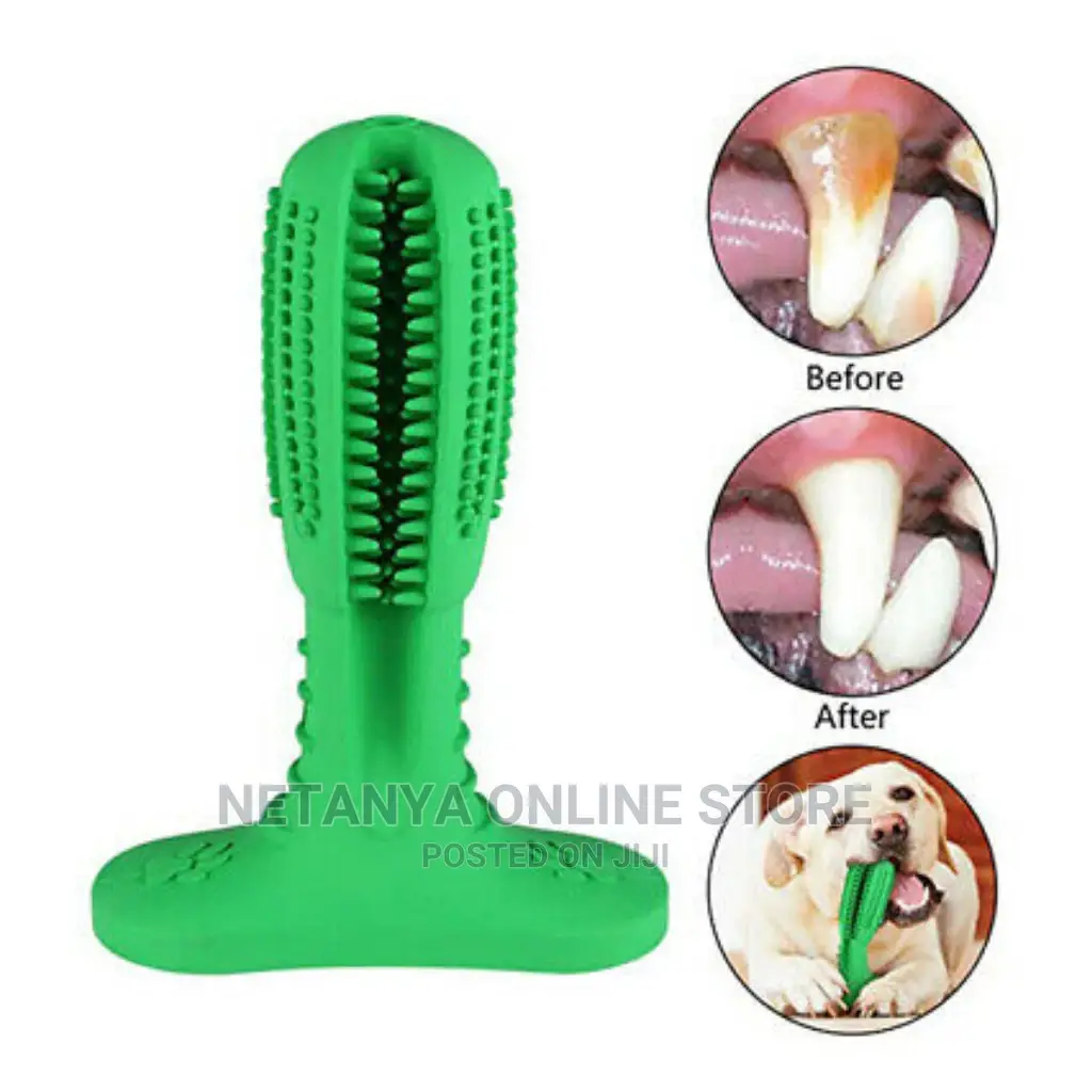 Dog Toothbrush