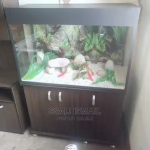 Cheap Aquarium