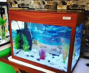 Aquarium