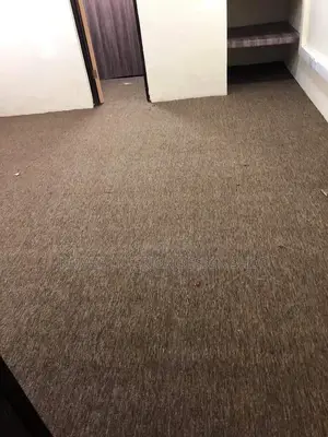 Woolen Carpet/Woolen Carpets/Carpets