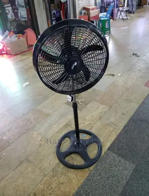 Fan