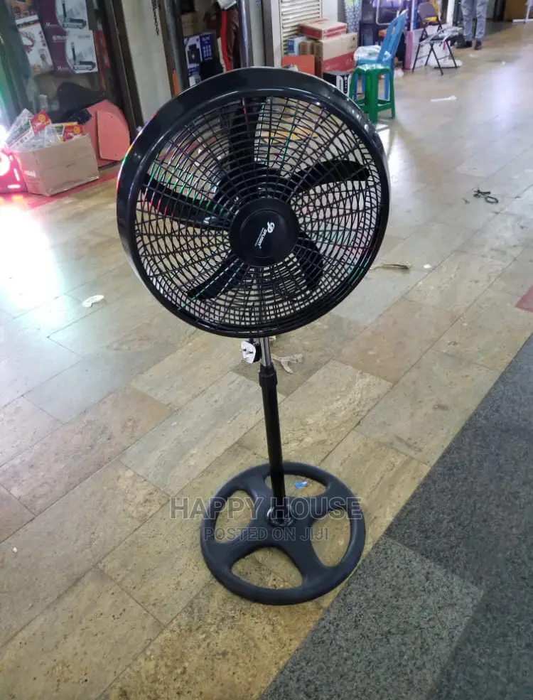 Fan