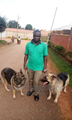 Dog Trainer