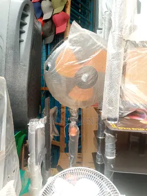 Fan Standing