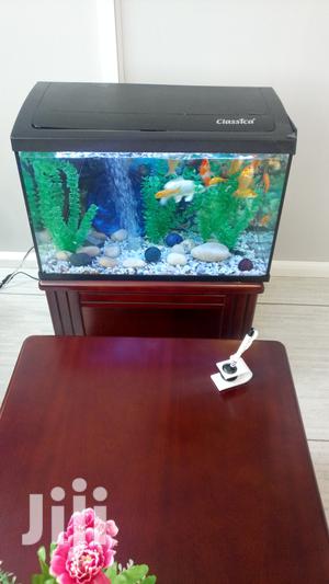 Aquariums and Fish